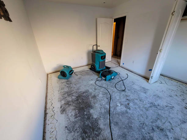 Best Fire Damage Restoration  in Urbana, OH