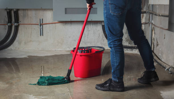 Best Water damage restoration experts  in Urbana, OH