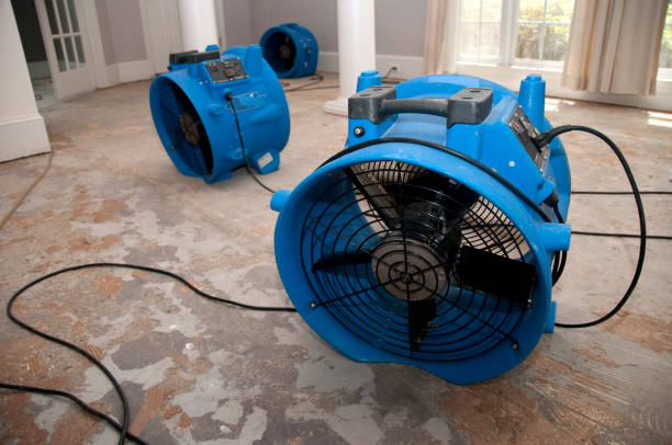  Urbana, OH Water damage restoration Pros