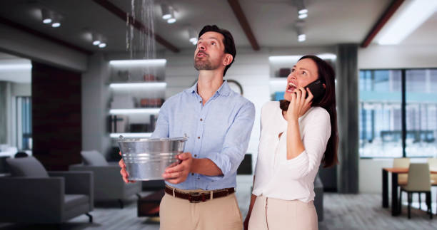 Best Flood restoration services  in Urbana, OH