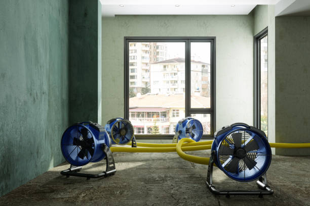 Best Water damage restoration experts  in Urbana, OH